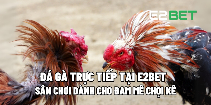 da ga truc tiep 1